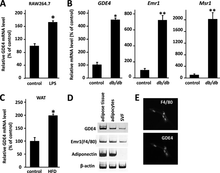 FIGURE 10.