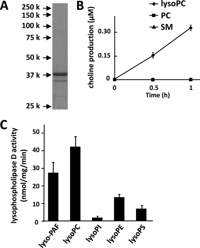 FIGURE 9.