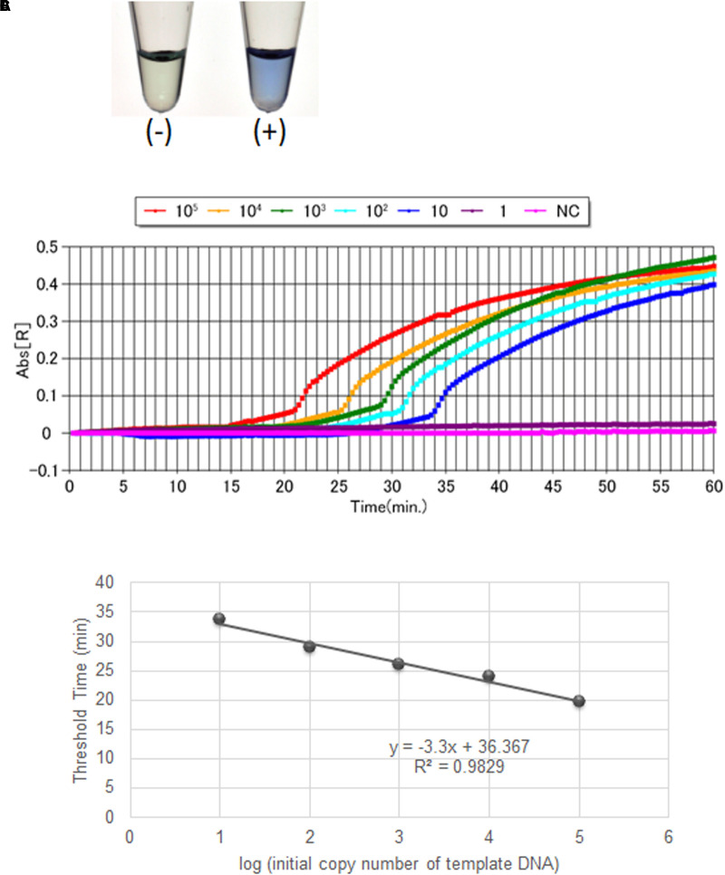 FIGURE 1