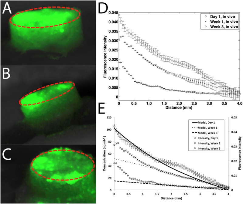 Fig 2: