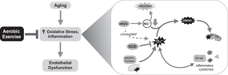 Fig. 9.