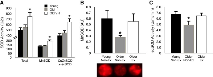 Fig. 11.