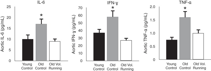 Fig. 12.