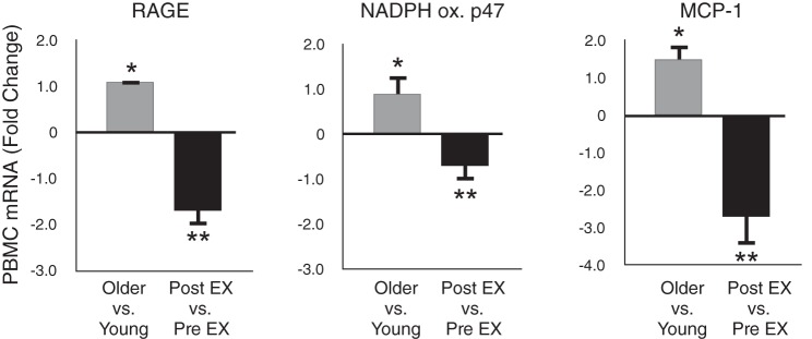 Fig. 14.