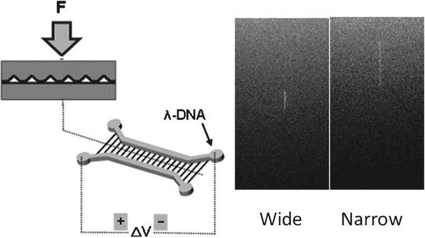 Fig. 11