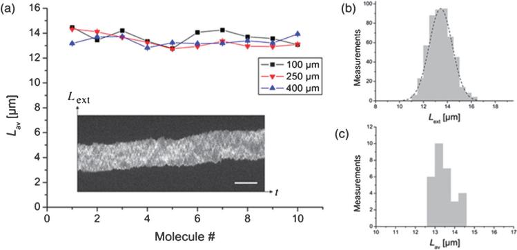 Fig. 12