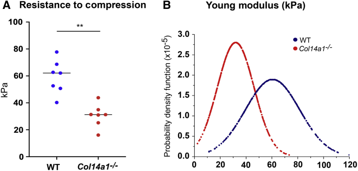 Figure 6