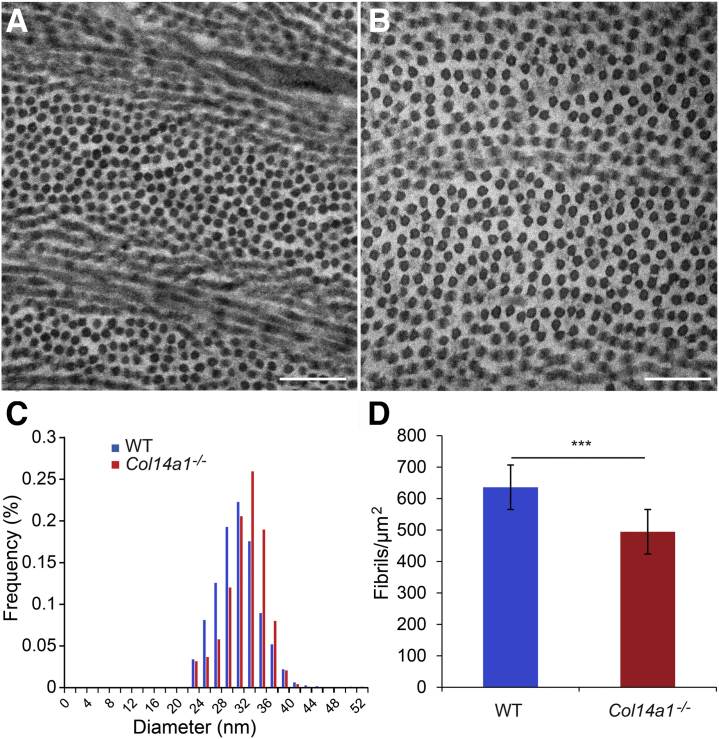 Figure 5