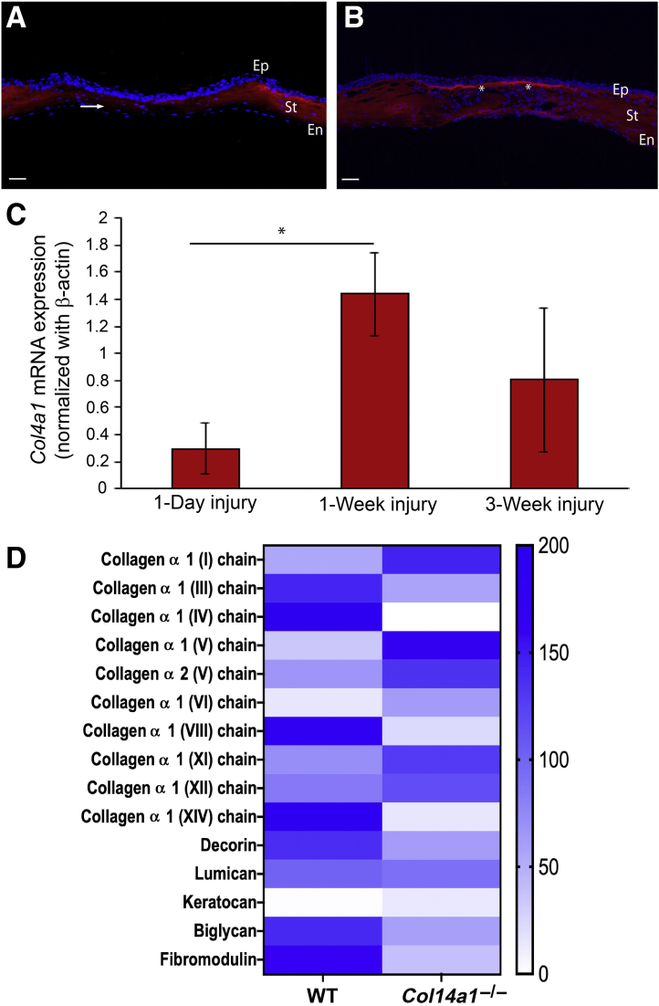 Figure 7