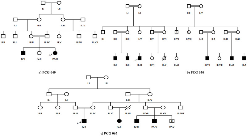 Fig 1