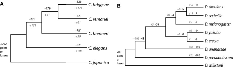 Fig. 1.—