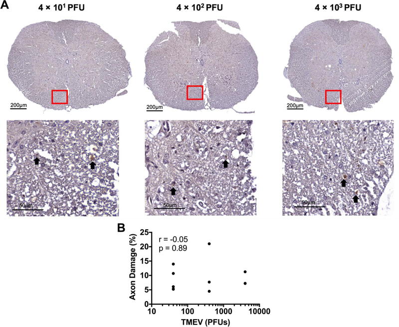 Fig 8.