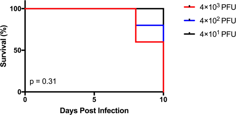 Fig 3.