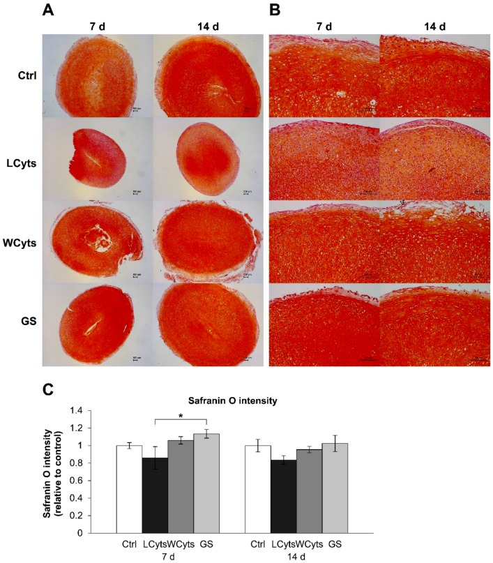 Figure 13