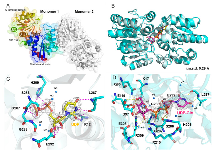 Figure 6