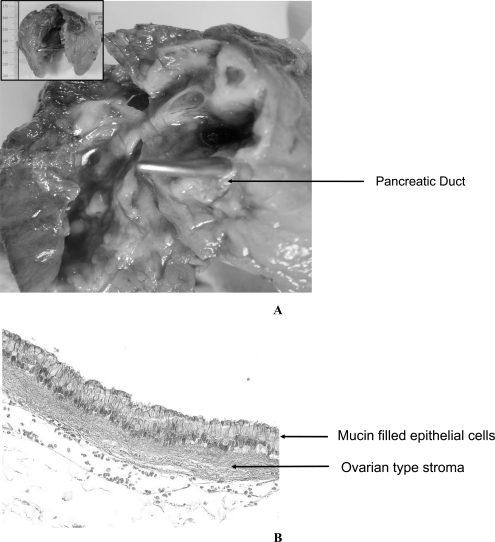 Fig. (3)