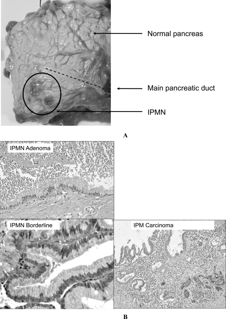 Fig. (2)