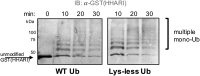 Fig. S4.