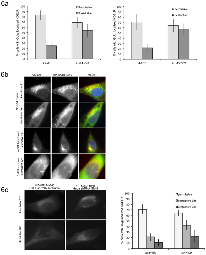 Figure 6: