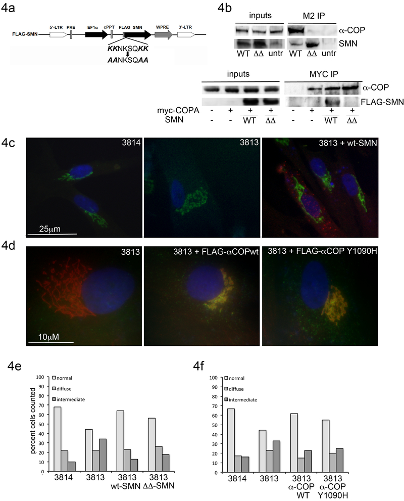 Figure 4: