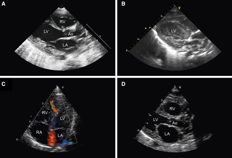 Figure 2.