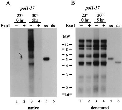 FIG. 5