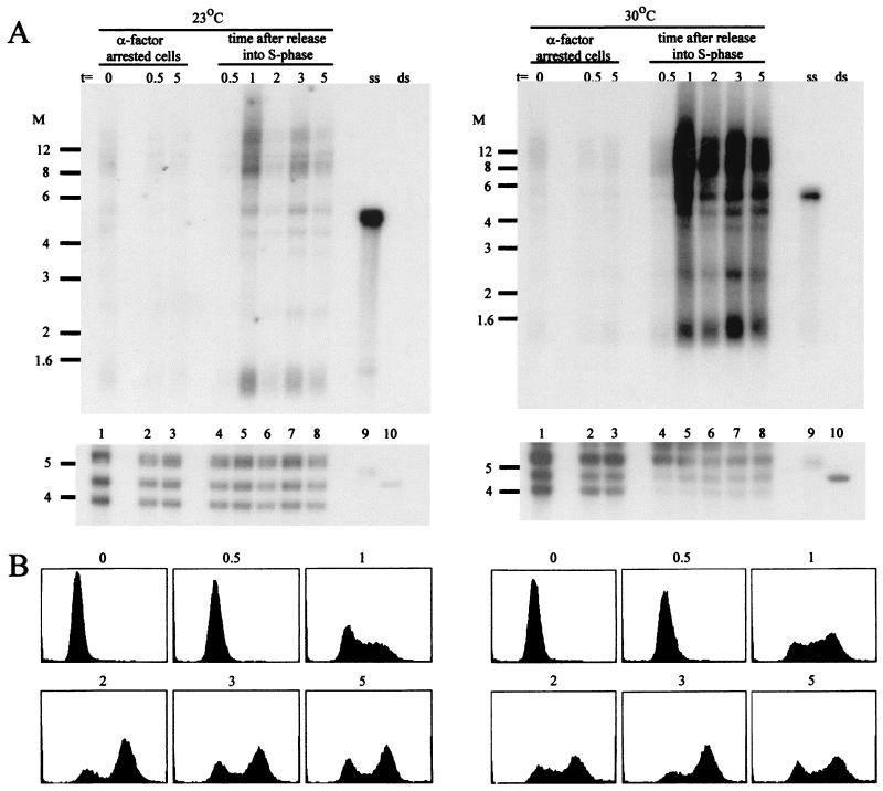 FIG. 7