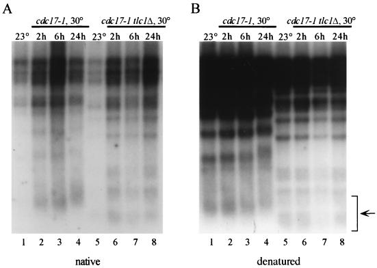 FIG. 6