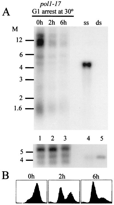 FIG. 8