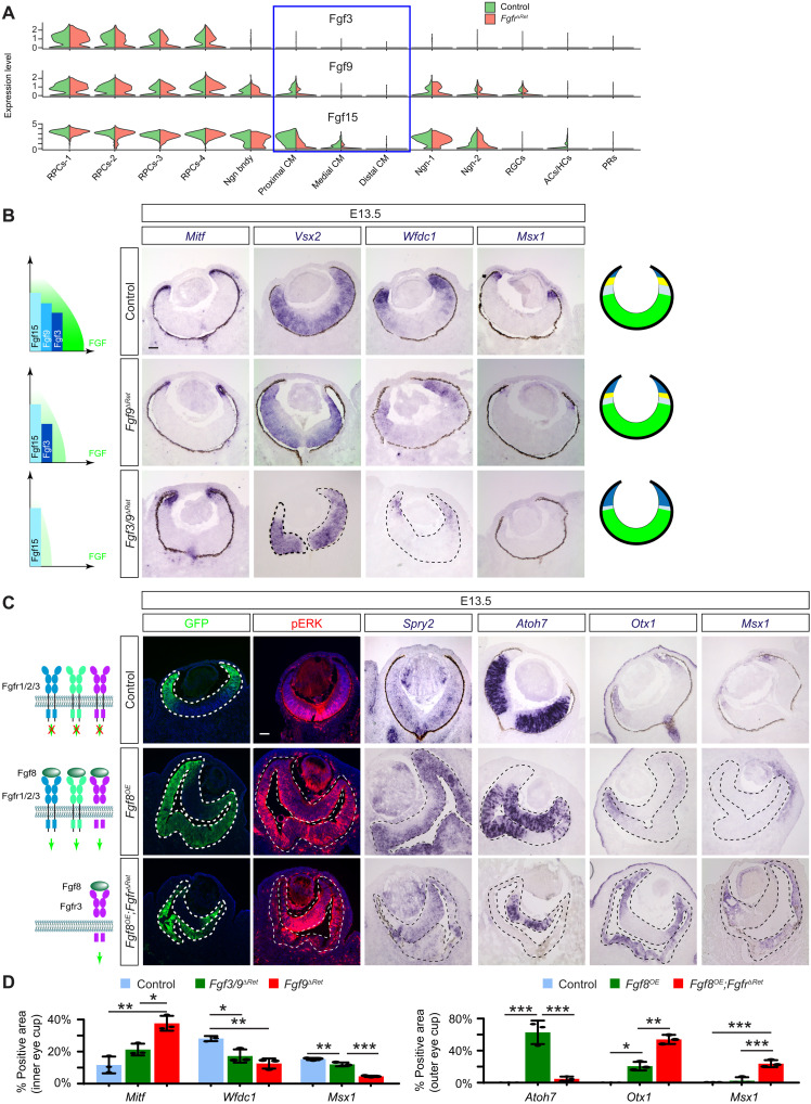 Fig. 4.