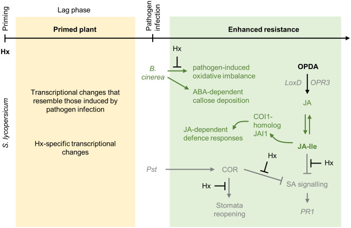 Figure 5