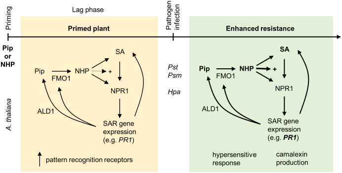 Figure 2