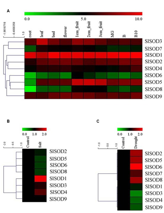 FIGURE 6