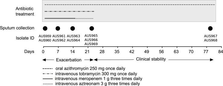 Fig 1