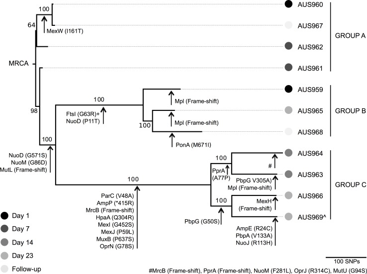 Fig 2