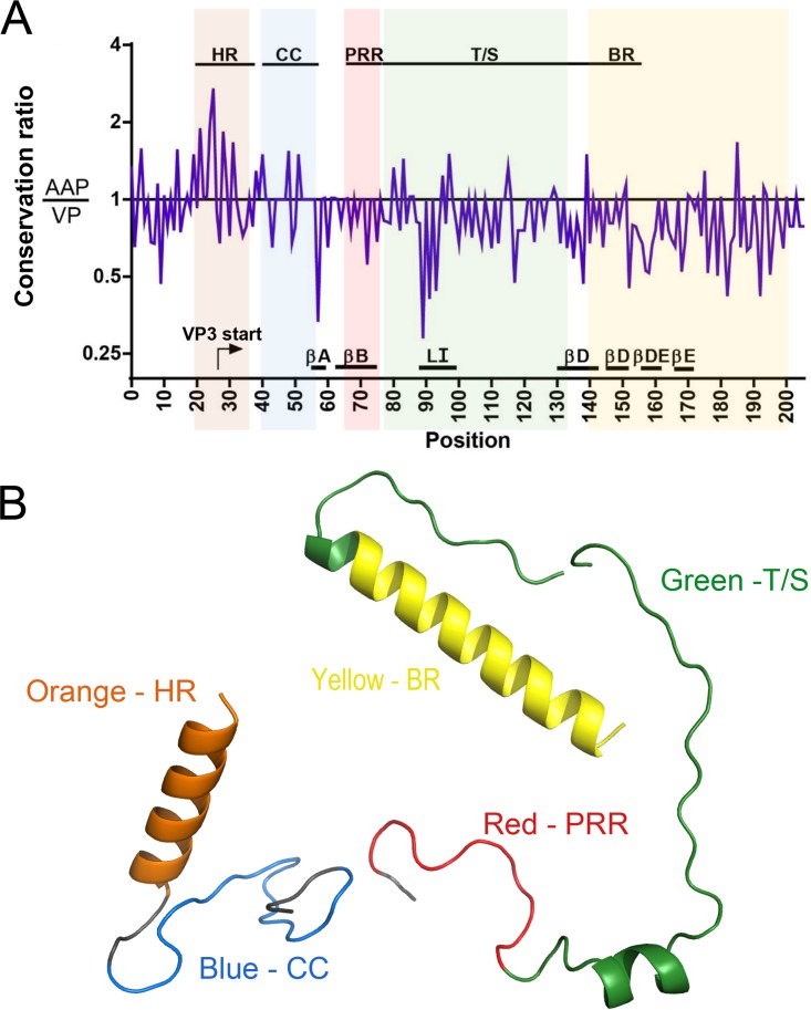 FIG 10