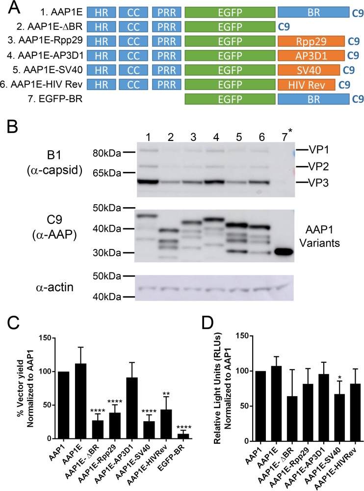 FIG 3