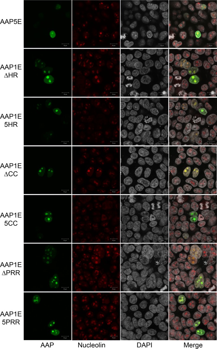 FIG 6