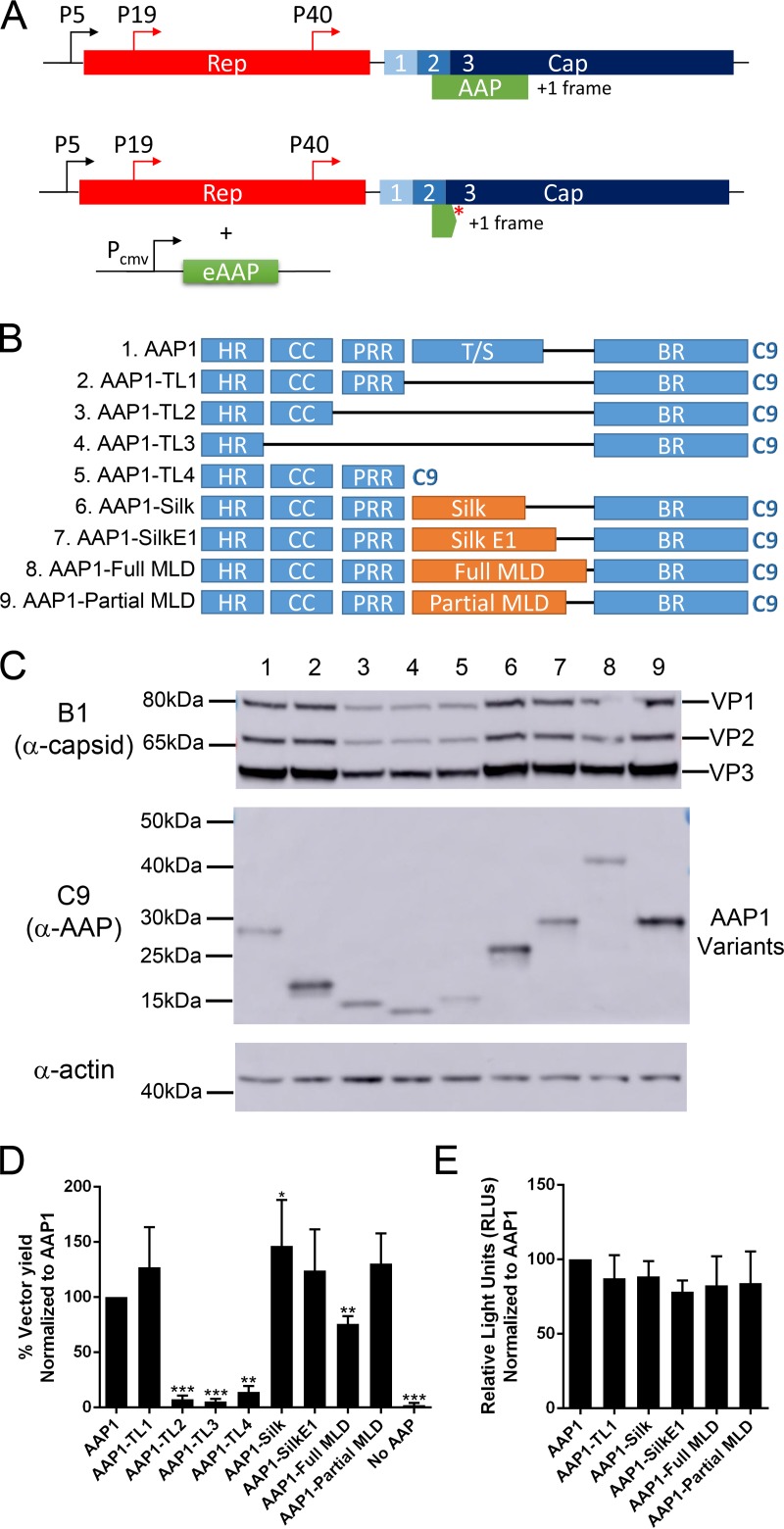 FIG 1