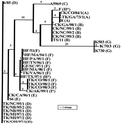 FIG. 3