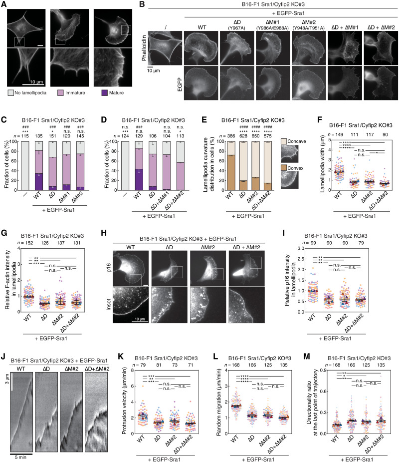 Fig. 6.