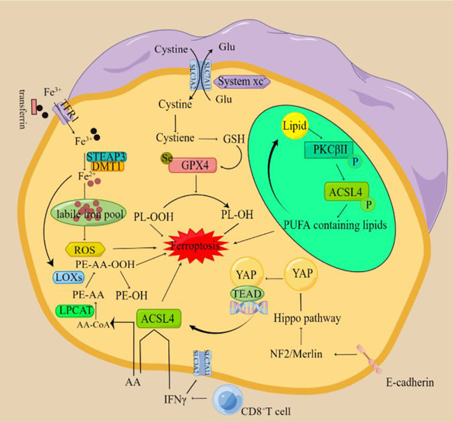 Figure 1