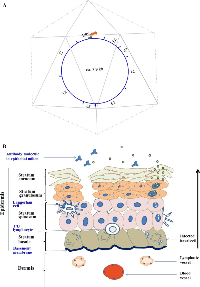 Fig. 1