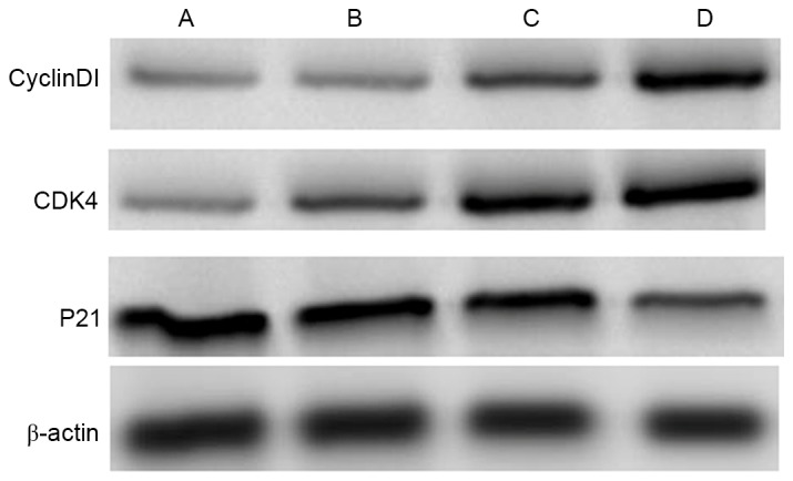 Figure 3.