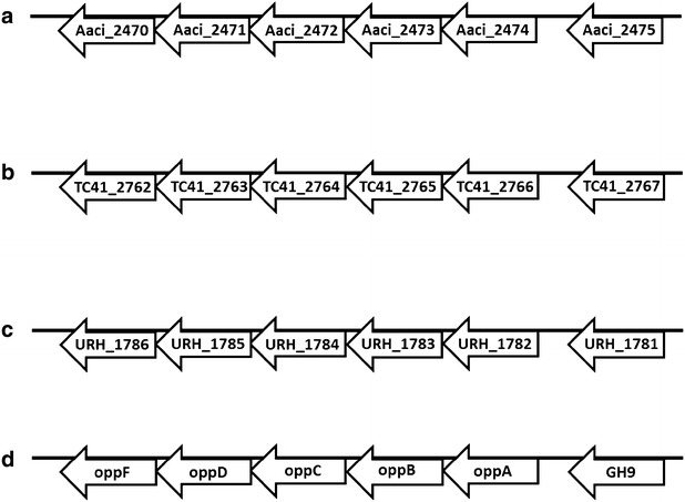 Fig. 13