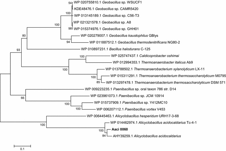 Fig. 8