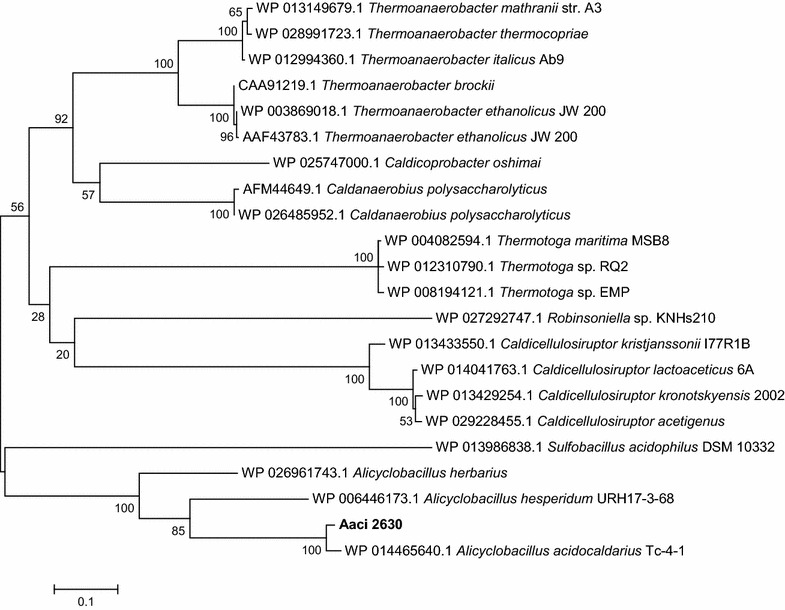 Fig. 14