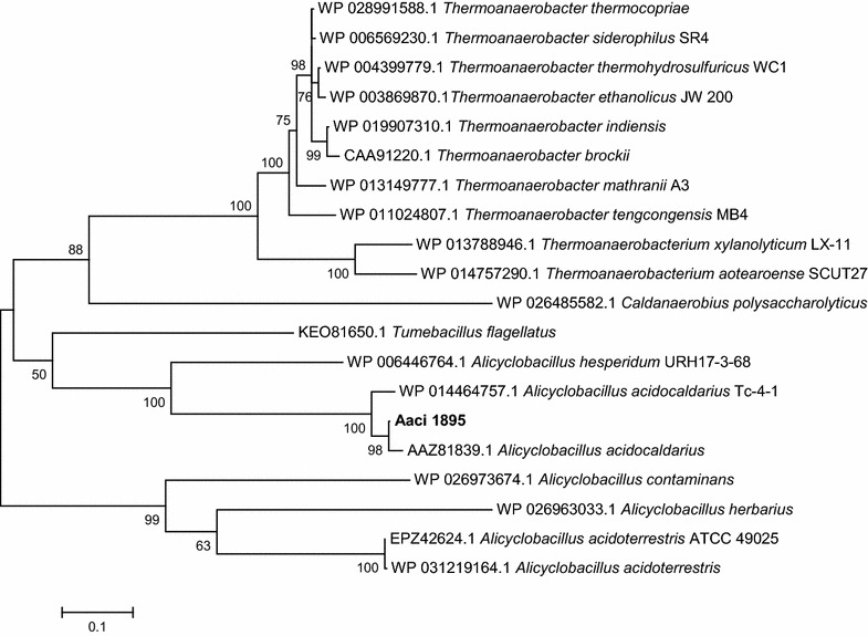 Fig. 11