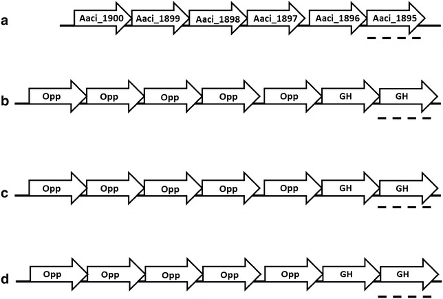 Fig. 12