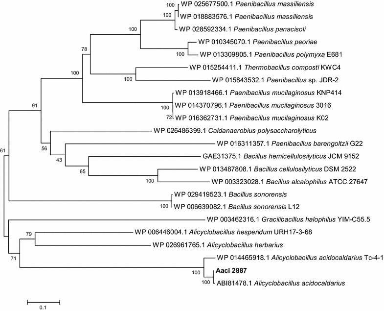 Fig. 16